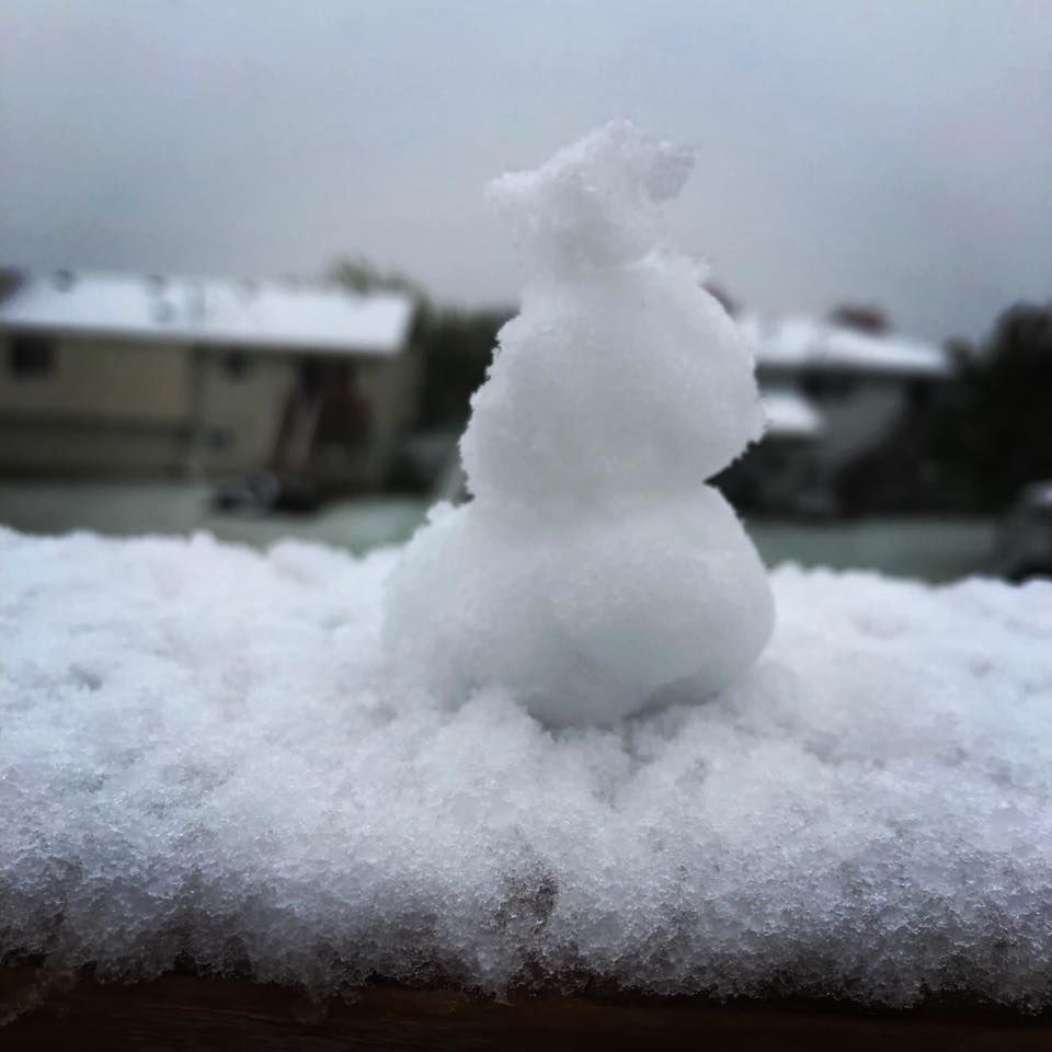 Snow, 10/14